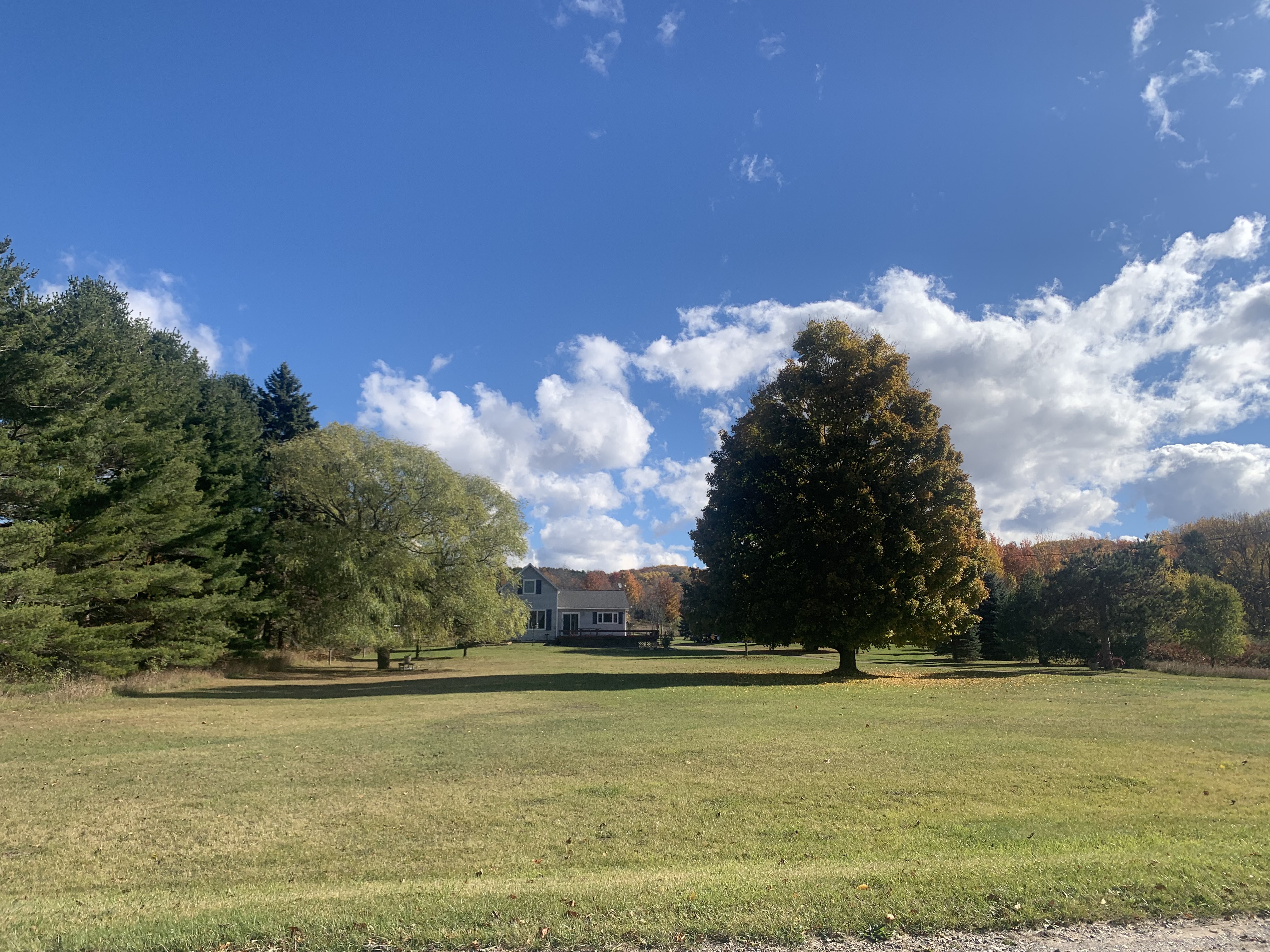 2389 Paul Rose Road, Frankfort, MI, 49635