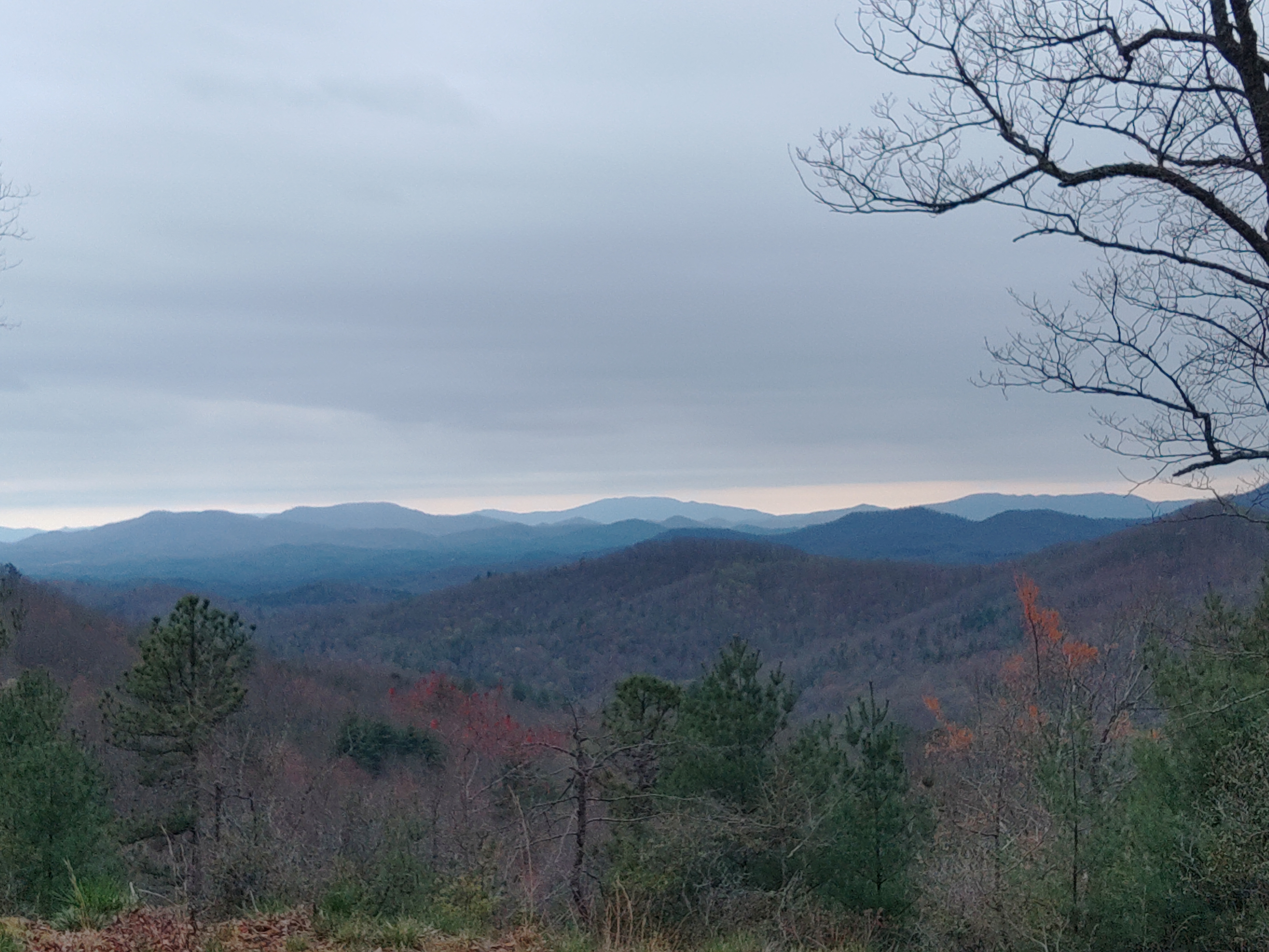 92 Mountain Magnolia Drive, Leicester, NC, 28748