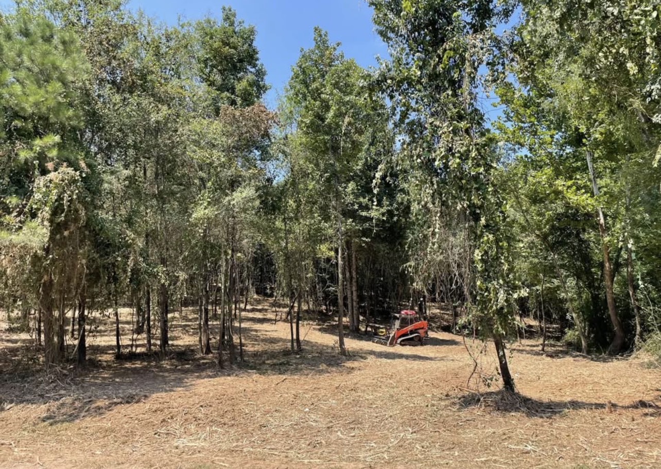 42 County Line Drive, Glenwood, AR, 71943