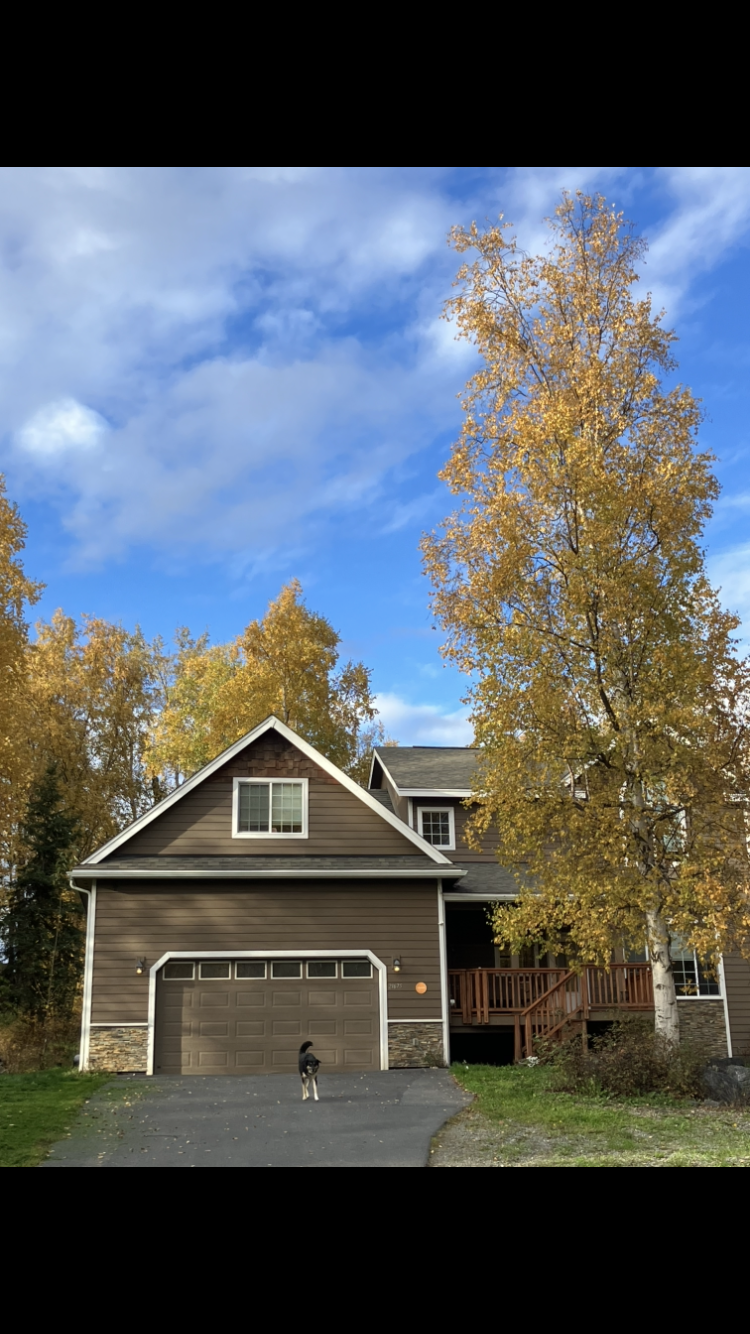 21675 Tarika Avenue, Chugiak, AK, 99567