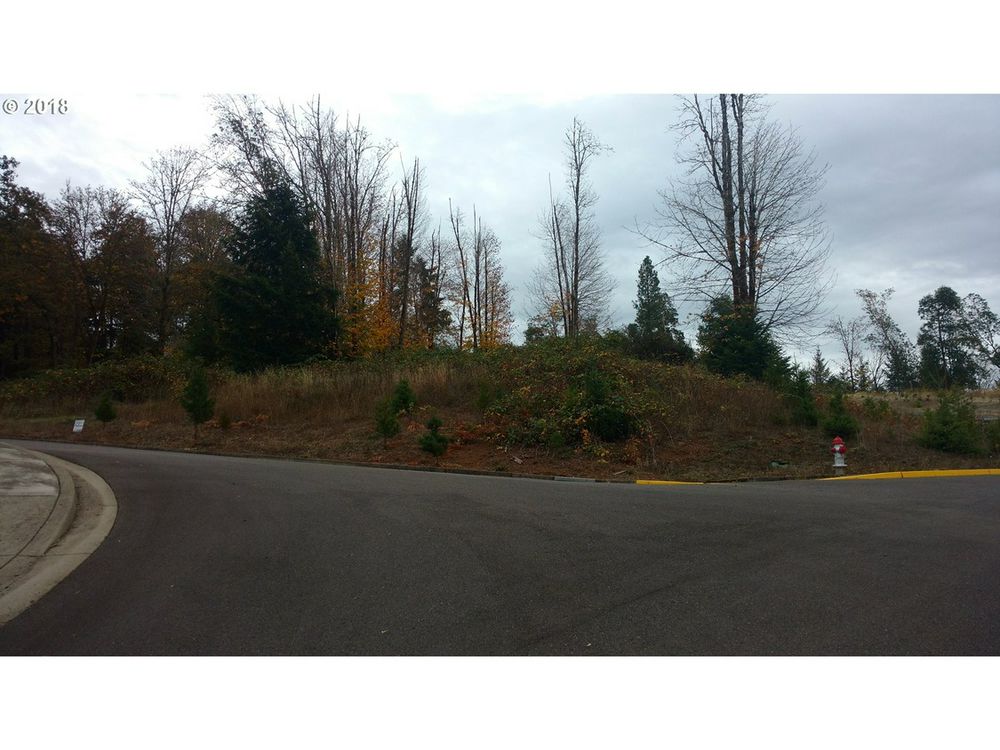 48522 Six Point Drive, Oakridge, OR, 97463