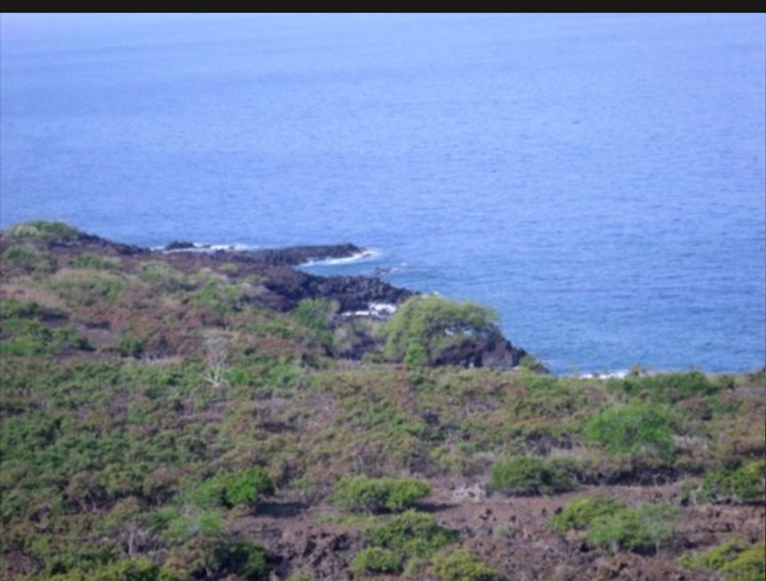 87-3173 Japonica Road, Captain Cook, HI, 96704