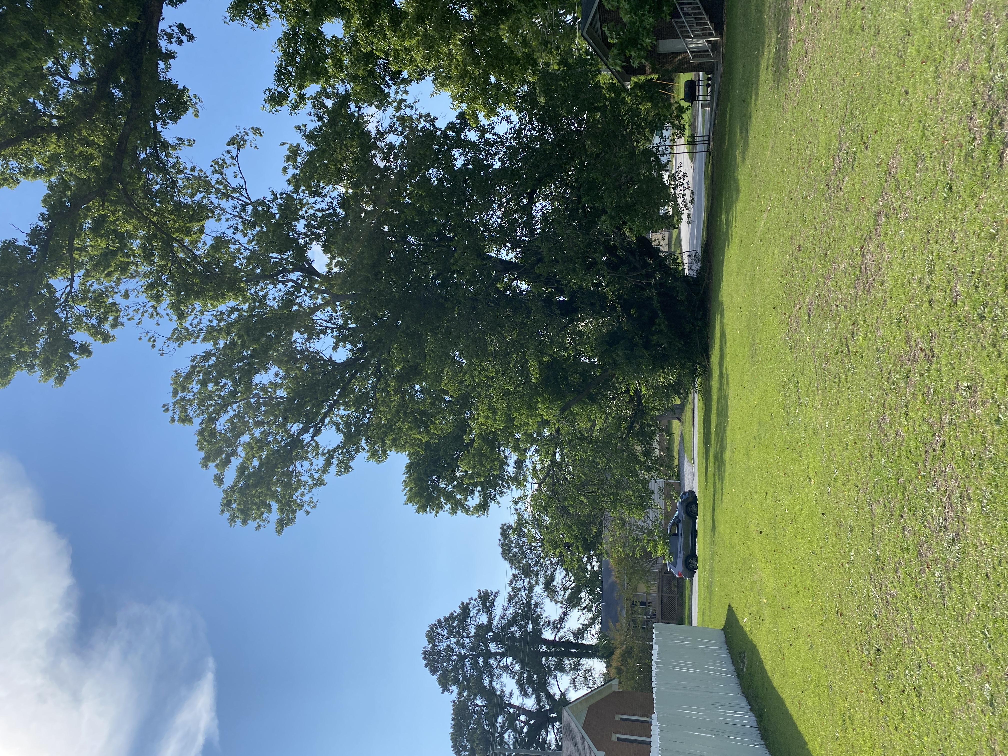 Havens St, Washington, NC, 27889