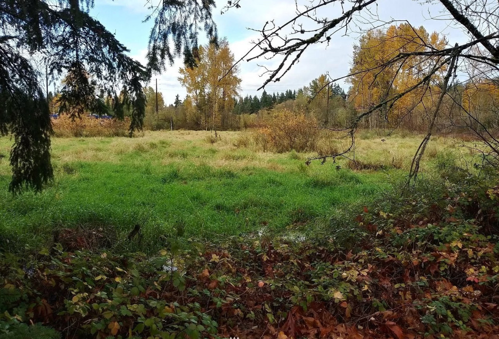539 148th Ave, Bellevue, WA, 98007