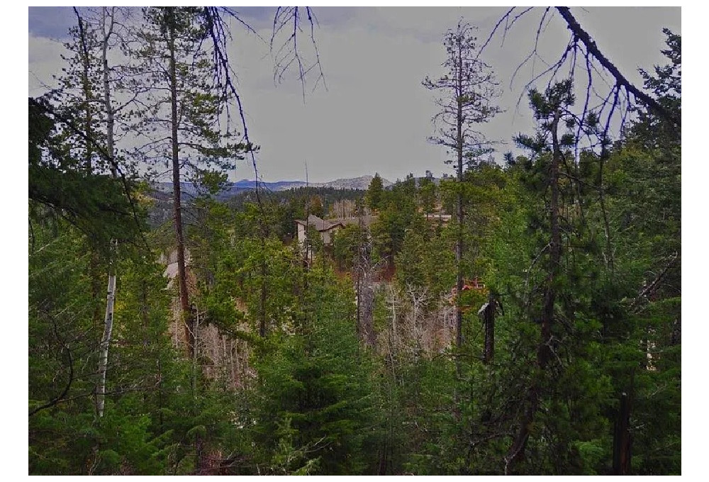 10136 Crest View Dr, Morrison, CO, 80465