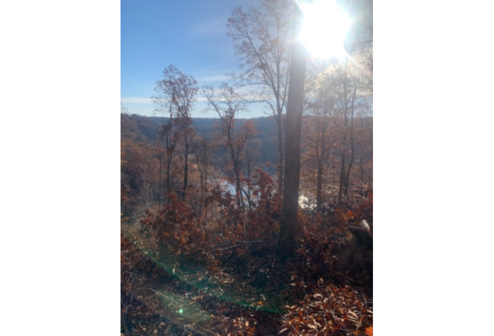 9723 Medlin Rd., Baxter, TN, 38544