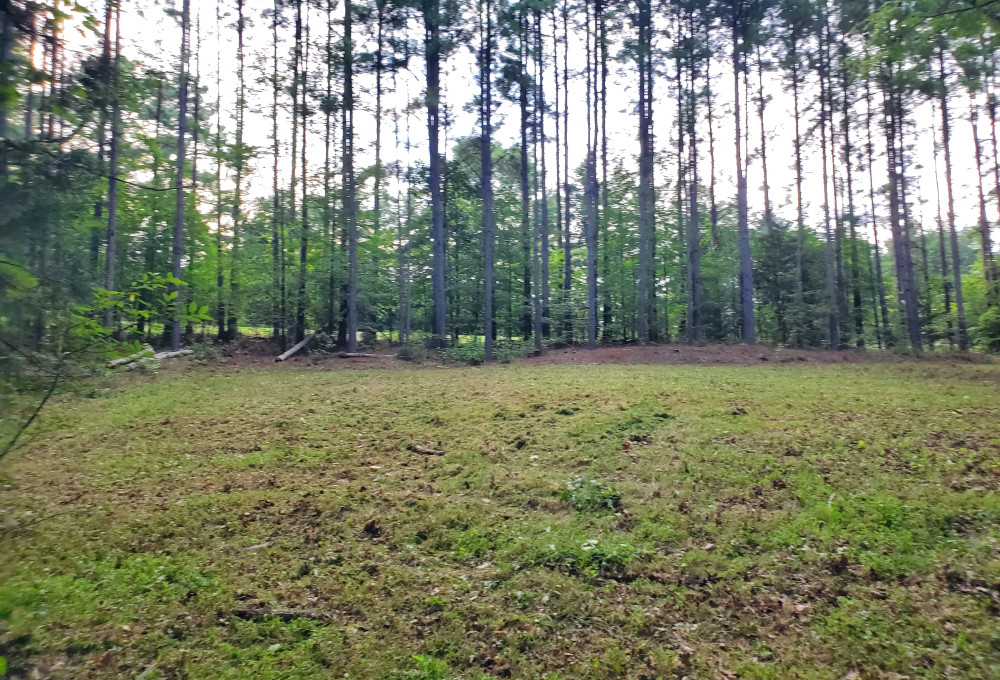 Bovine Drive, Richburg, SC, 29729