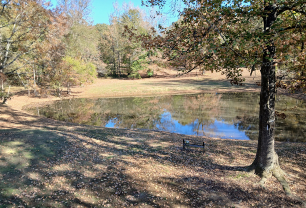 349 W Cox Road, Byhalia, MS, 38611