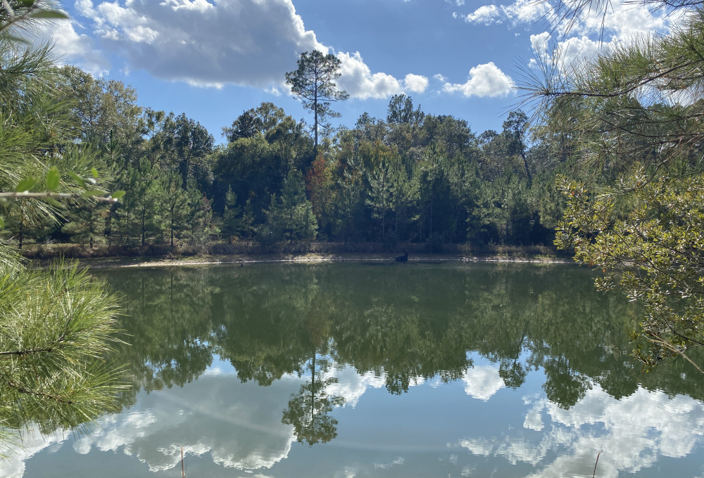 74231 Jack Lloyd Road, Abita Springs, LA, 70420