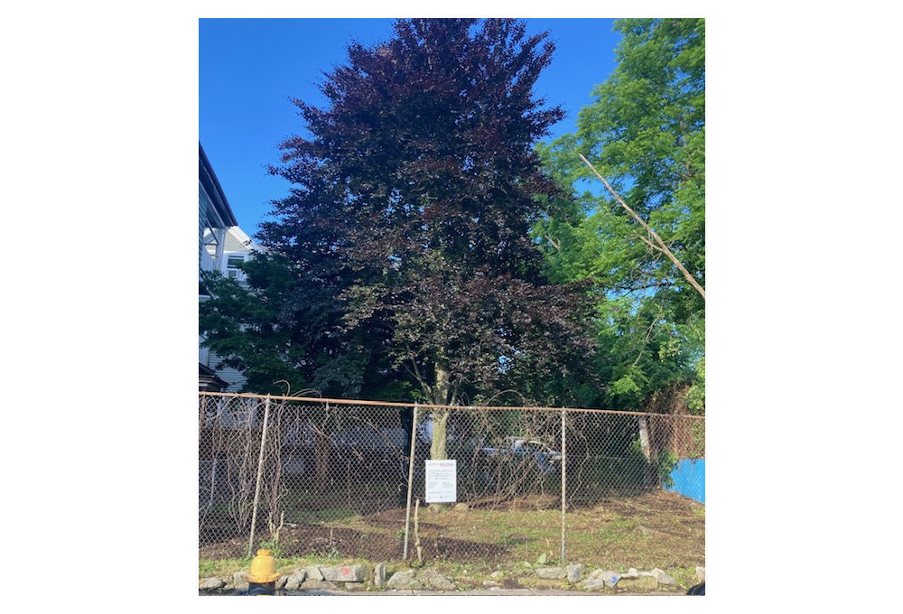 491 Geneva Avenue, Dorchester Center, MA, 02124