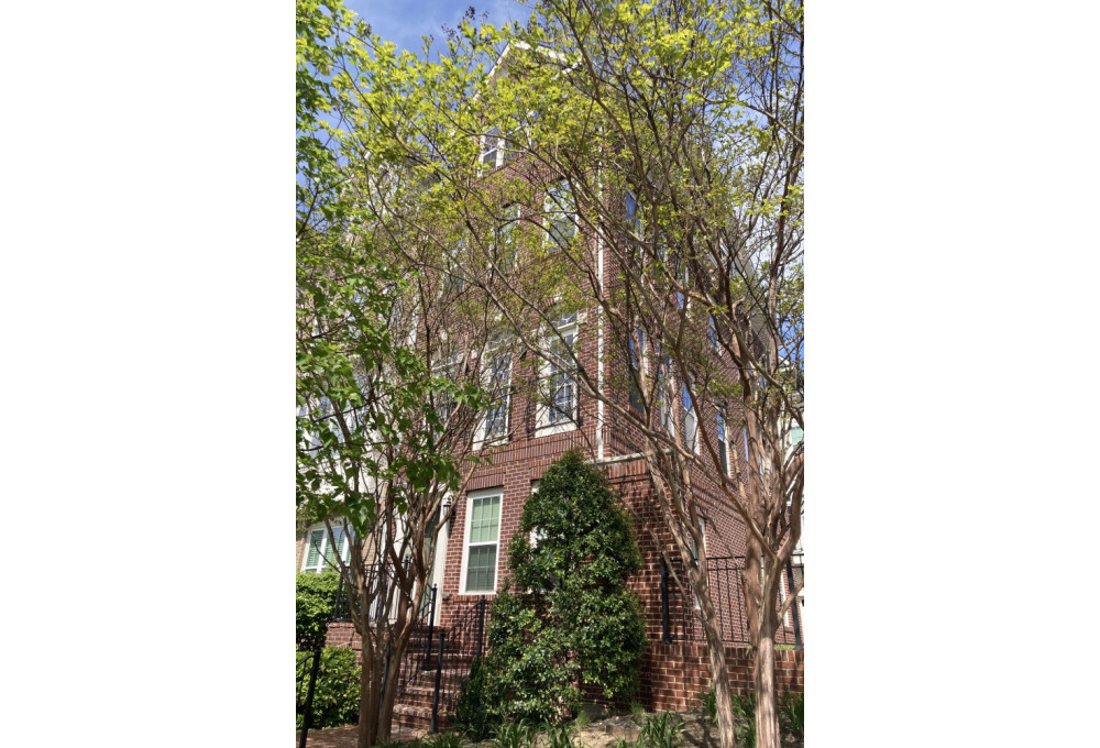805 N Woodrow St, Arlington, VA, 22203