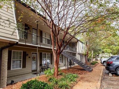 508 Park Lane, Oxford, MS, 38655