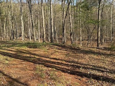 Shadoe Hollow Rd NE, Bowmans Addition, MD, 21502