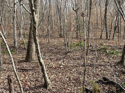 1 Mountain Creek Rd, Meherrin, VA, 23954