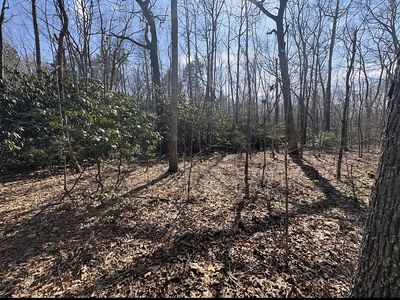 Pierce Holw Rd, Lester, WV, 25865