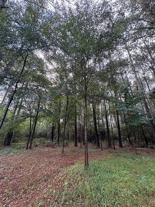 6060 MS-13, Morton, MS, 39117