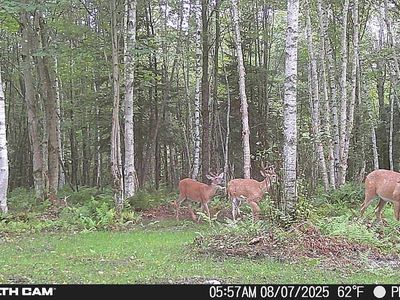 2483 VT-114, Norton, VT, 05907