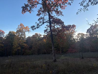 Annelise Ln, Joplin, MO, 64804