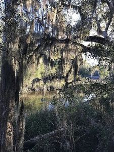 140 Ogden Dr, Brunswick, GA, 31520