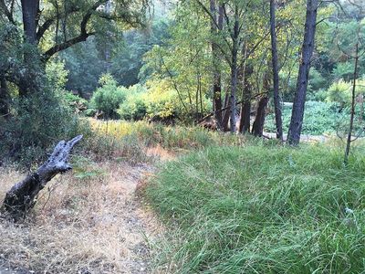 4440 Cosumnes View Trail, Placerville, CA, 95667