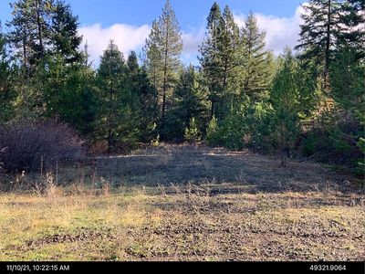 10307 Jasmine Ln, Chattaroy, WA, 99003