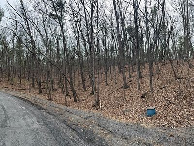 1982 Fairway Dr, Basye, VA, 22810