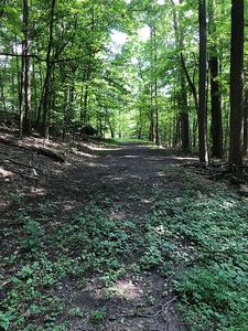 6 Glen Rd, Newton, NJ, 07860