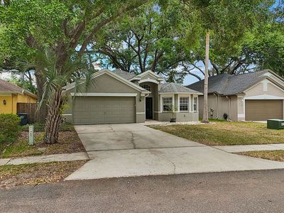 4643 Dunnie Dr, Tampa, FL, 33614