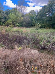 0 Peach Tree St, Jackson Township, NJ, 08527