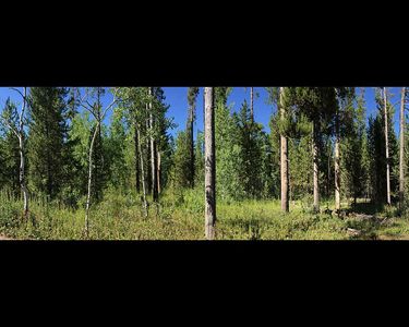 3499 E Pinehaven Dr, Island Park, ID, 83429