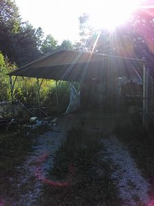 182 Jessie Young Rd, Wartburg, TN, 37887