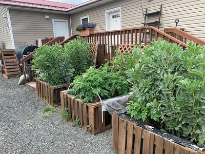 430 7th Ave, Bethel, AK, 99559