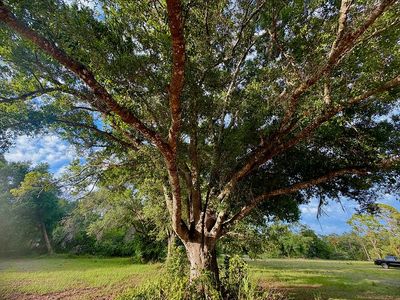 6350 Nalle Grade Rd, North Fort Myers, FL, 33917