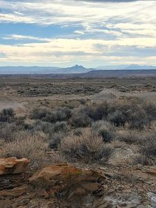 401 Rd 7, Powell, WY, 82435