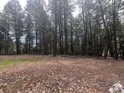 351 Upper Moore Gulch Rd, Trinity Center, CA, 96091