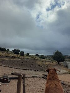 19559 E Seven Oaks Dr, Wikieup, AZ, 85360