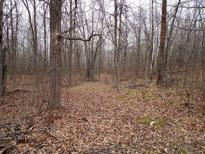 County Rd 1 SW, Pine River, MN, 56474