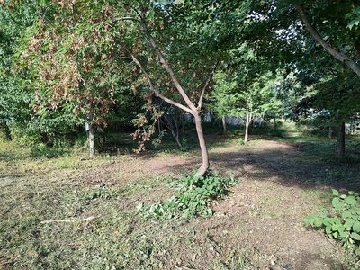 55 Shirley Ave, Lowell, MA, 01854
