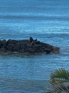 85-175 Farrington Hwy, Waianae, HI, 96792