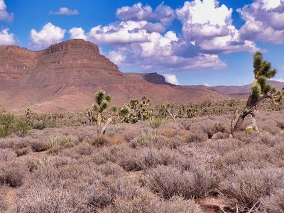 Mead Dr, Meadview, AZ, 86444