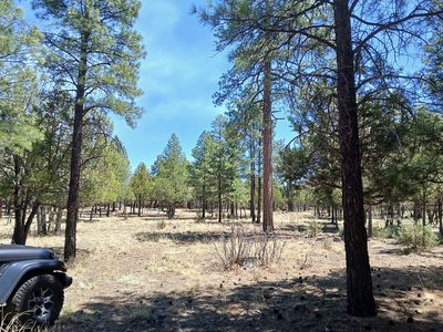 2513 Pine Crest Dr, Happy Jack, AZ, 86024