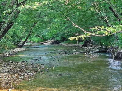 442 Newburn Hollow Rd, Collinwood, TN, 38450