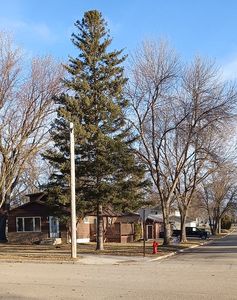 616 1st St SE, Elbow Lake, MN, 56531