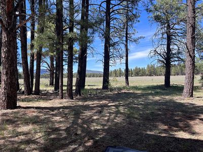14640 E Keith Dr, Williams, AZ, 86046