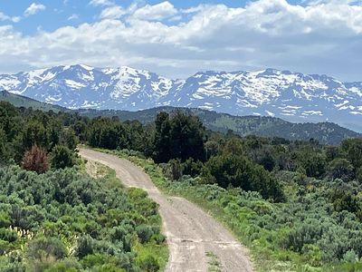 753 Woodhills Ln, Wells, NV, 89835