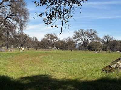 4180 Lakeview Dr, Mariposa, CA, 95338