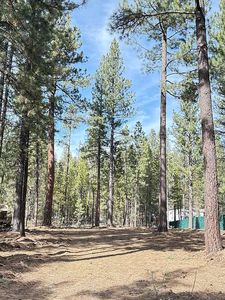 17046 Torrance Rd, Bend, OR, 97707