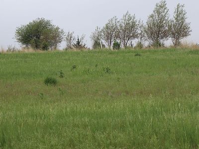 0 E Road, Palmyra, NE, 68418