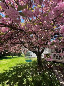 385 Silver Spring Rd, Mechanicsburg, PA, 17050