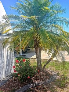 48 Angelfish Dr, Sebring, FL, 33875